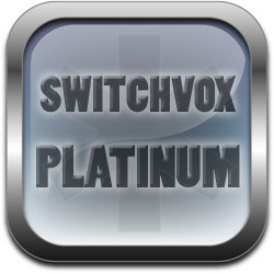 Licence +1 utilisateur (année courante serveur) Switchvox Platinum