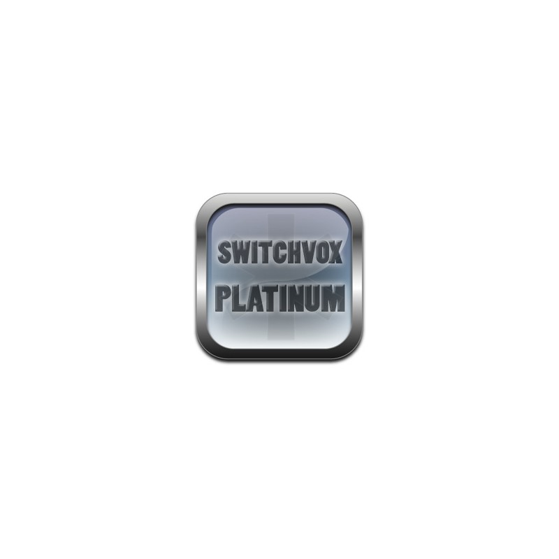 Licence +1 utilisateur (année courante serveur) Switchvox Platinum