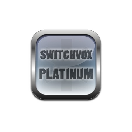 Licence +1 utilisateur (année courante serveur) Switchvox Platinum